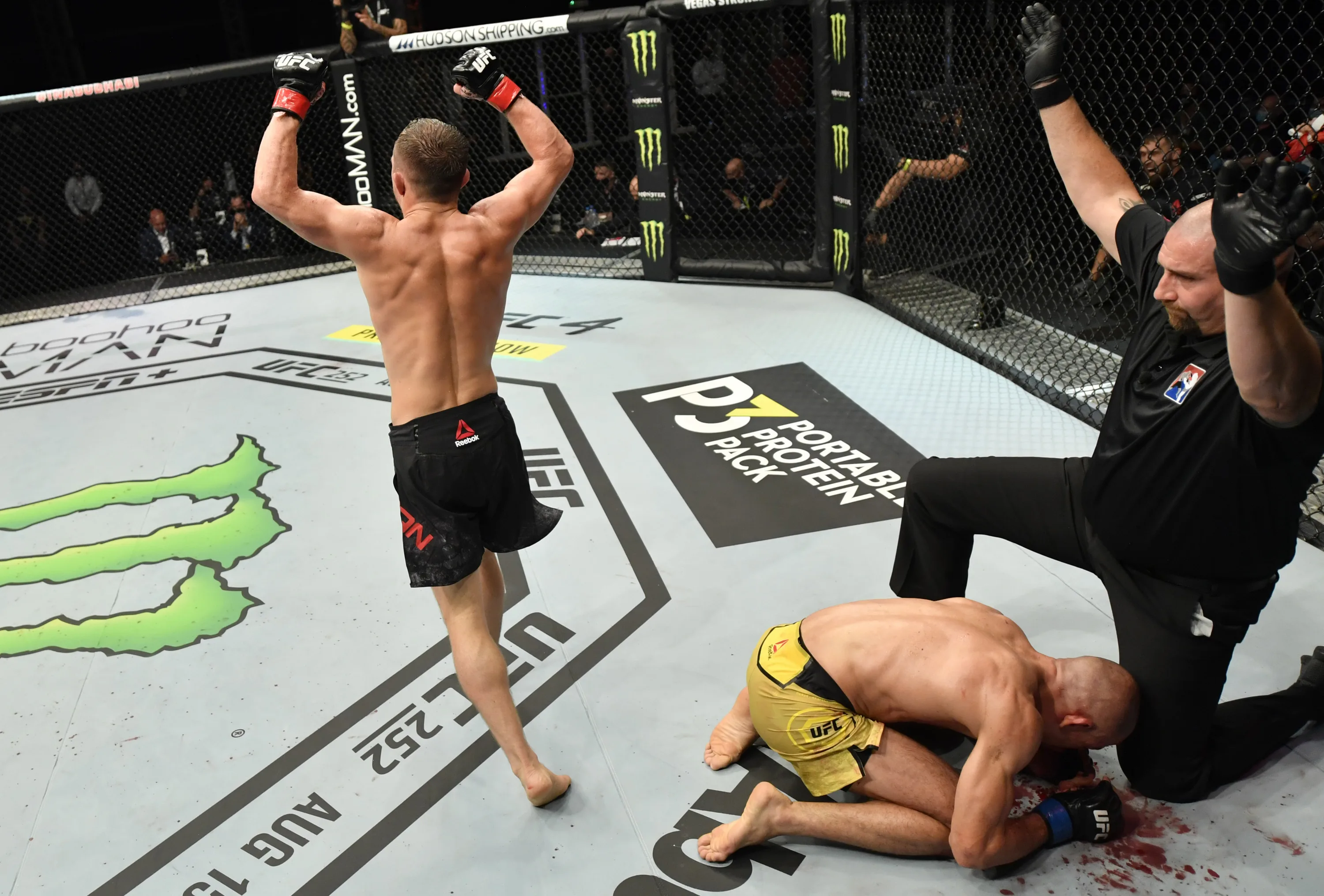 UFC: правила смешанных единоборств для новичков